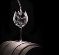 Elegant white wine glass in black background Royalty Free Stock Photo