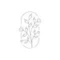 Elegant wild pretty flower bouquet with petal and leaves at ellipse frame logo vector illustration Royalty Free Stock Photo