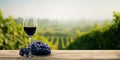 Elegant wine glass and purple grapes on rustic table with vineyard view Royalty Free Stock Photo