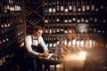 Elegant wine seller holding a bottle of wine and reading label in a wine store Royalty Free Stock Photo