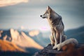 elegant wolf sits atop rocky mountain peak, surveying its territory