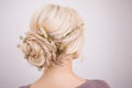 Elegant women`s hair styles for blonde hair. Royalty Free Stock Photo