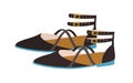 Elegant women's sandals with closed pointed toe, counter and buckled ankle straps. Summer fashion strappy footwear or