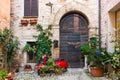 Elegant wooden door