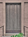 Elegant wooden side door with a green plant and a stair in front of it.