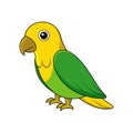 Elegant Yellow-naped Amazon Bird Vector Royalty Free Stock Photo