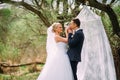 Elegant young happy wedding couple is sitting at green grass on Royalty Free Stock Photo