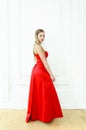 Elegant young woman in evening red dress posing on white wall background. Royalty Free Stock Photo