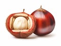 Unveiling Mystery: Exquisite Chestnuts with a Hollow Shell on Pristine White Background