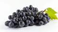 Elegantly Contrasted: A Captivating Display of Black Grapes on a Serene White Canvas - in Aspec