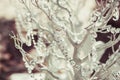 Elegantly tasteful decorated with crystals wedding decorate tree, summer, vintage, glamor