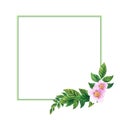 Elegeant watercolor square frame with twig of blooming rosehip in lower right corner. Hand drawn floral decorative template for