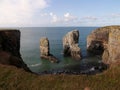 Elegug Stack Rocks in Pembrokeshire