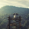 Elephant sitting on a wood tower looking at a forest . Royalty Free Stock Photo