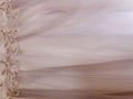 Elelgant Folds of Pink Tulle and Satin With Flower Border. Can be used as a Background Royalty Free Stock Photo