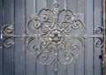 Element of architectural decor lattice, exterior. Metal wrought iron gate