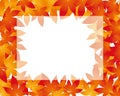 Maple leaf illustration frame background Royalty Free Stock Photo