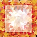 Maple leaf illustration frame background Royalty Free Stock Photo