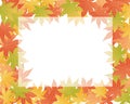 Maple leaf illustration frame background Royalty Free Stock Photo