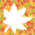 Maple leaf illustration frame background Royalty Free Stock Photo