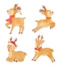 set of watercolor character of Christmas reindeer