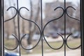 An element of decorative window grills