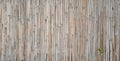 Bamboo texture with natural patterns