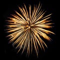 Element of fireworks yellow-gold color isolated on black Royalty Free Stock Photo