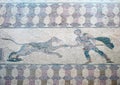 Element of Hunting Scene mosaic on the floor of villa Dionysos. Paphos Archaeological Park. Cyprus Royalty Free Stock Photo