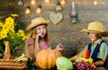 Elementary school fall festival idea. Children play vegetables pumpkin. Kids girl boy wear cowboy farmer style hat