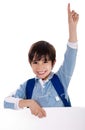 Elementary school kid raising his hand