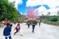 Elementary students in uniforms play in a school yardm Royalty Free Stock Photo