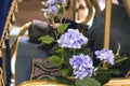 Elements and details of garden and home decor and interior. Golden blue background with purple flowers of hydrangea and fabric