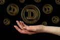 Elements of the dogecoin cryptocurrency fall on the hand