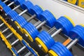 Elements of gym equipment Royalty Free Stock Photo
