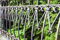 Elements of a metal fence, florid forged products