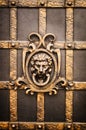 Elements of a metal gate with a lion shaped like a head Royalty Free Stock Photo