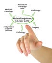 Multidisciplinary Cancer Care Royalty Free Stock Photo