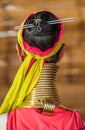 Elements of traditional female jewelry of the Padaung people rings on the neck and bracelets on the hands.