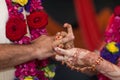 Elements of Vedic wedding wearing rings close up Royalty Free Stock Photo