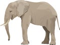 Elephant Royalty Free Stock Photo