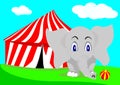 Elephant Royalty Free Stock Photo