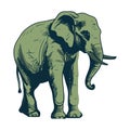 Elephant africa wildlife animal icon