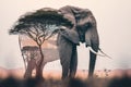 Elephant and the African savannah double exposure. Generative AI