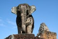 Elephant Angkor Wat