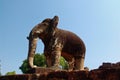 Elephant at Angkor Wat Royalty Free Stock Photo