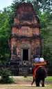 Elephant at Angkor Wat temple ruins Royalty Free Stock Photo