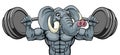 Elephant Mascot Weight Lifting Body Builder