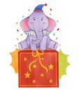 Elephant animal with circus costume sitting on magical box . Realistic watercolor paint with paper textured . Cartoon character