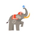 Elephant Animal Performing In Circus Show With Ball Cartoon Vector Illustration